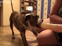 Russian blonde girl getting pussy banged by dog xxx